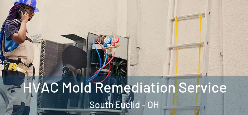  HVAC Mold Remediation Service South Euclid - OH