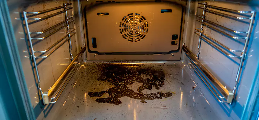 Our Dryer Vent Mold Cleaning Services in South Euclid, OH