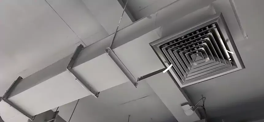 Our Pest Removal From Ducts Services in South Euclid, OH