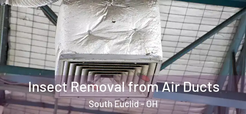  Insect Removal from Air Ducts South Euclid - OH