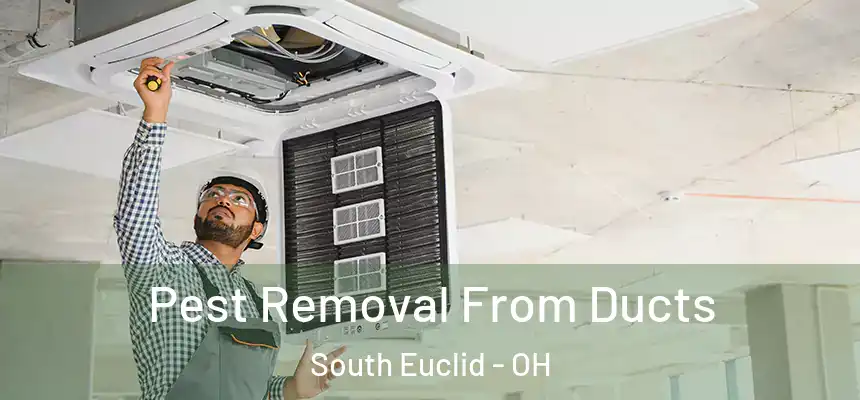  Pest Removal From Ducts South Euclid - OH