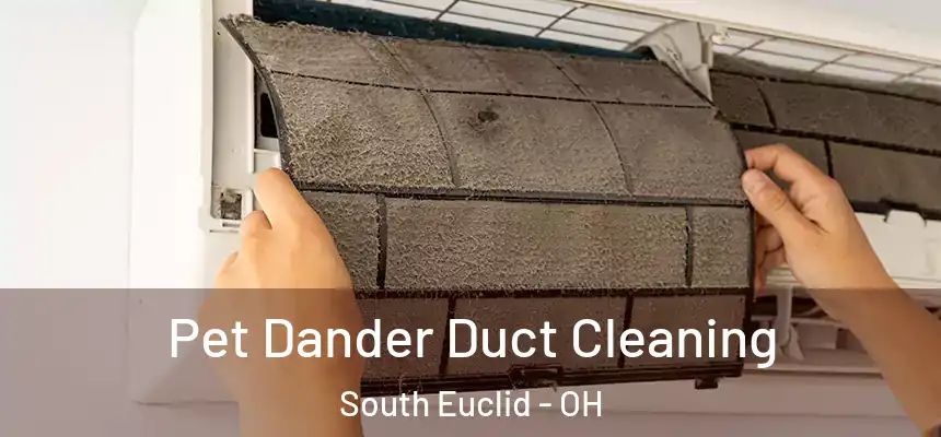  Pet Dander Duct Cleaning South Euclid - OH