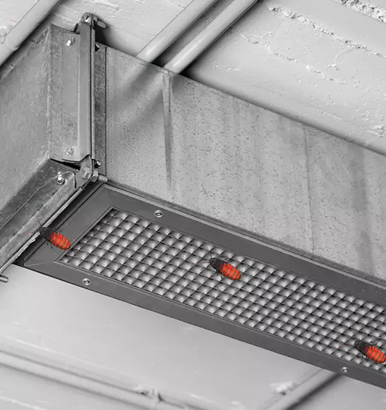 About Air Duct Cockroach Removal in South Euclid, OH