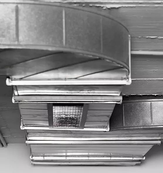 Professional Air Duct Pest Removal in South Euclid, OH