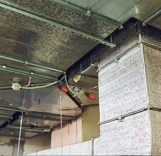 Why Homeowners & Businesses Trust Us in South Euclid, OH?