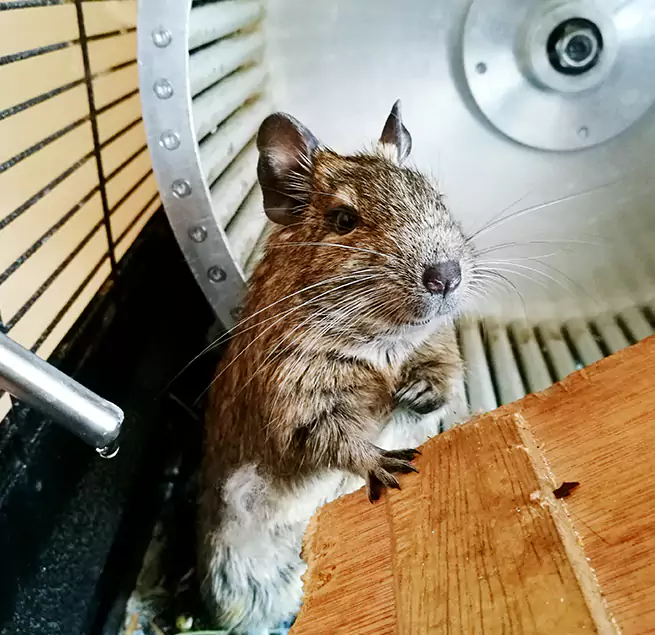 Why Homeowners & Businesses Trust Us South Euclid, OH